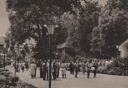 Bad Salzschlirf - Im Kurpark - 1964 Bad Salzschlirf - Im Kurpark - 1964