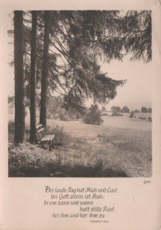 Im Wald ohne Müh und Last - ca. 1955 Im Wald ohne Müh und Last - ca. 1955