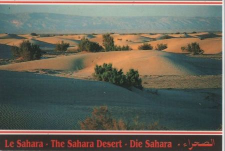Tunesien - Sahara - ca. 1985 Tunesien - Sahara - ca. 1985
