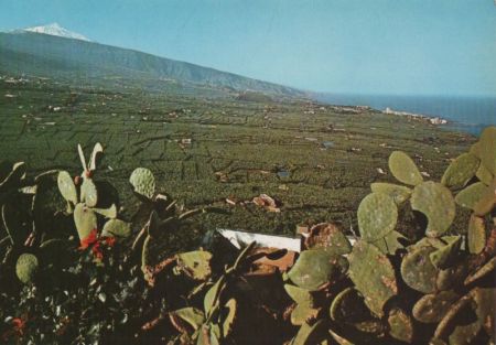 Spanien - Puerto de la Cruz - Valle de la Orotava y Teide - ca. 1980 Spanien - Puerto de la Cruz - Valle de la Orotava y Teide - ca. 1980