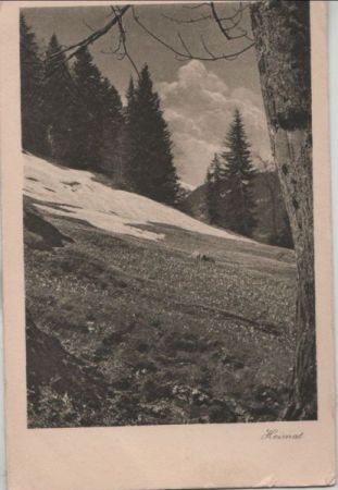 Schweiz - Schiers - Heimat - ca. 1950 Schweiz - Schiers - Heimat - ca. 1950