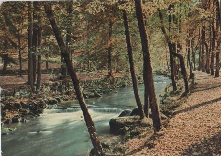 Bad Wildbad - Enzanlagen - 1958 Bad Wildbad - Enzanlagen - 1958