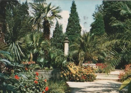 Palmengarten in Bad Pyrmont - 1969 Palmengarten in Bad Pyrmont - 1969