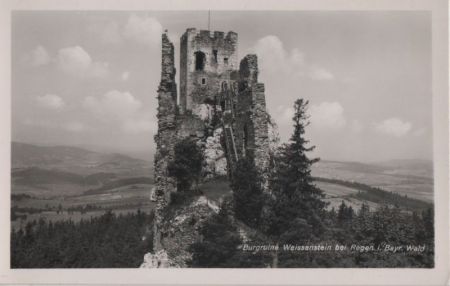 Regen - Burgruine Weissenstein Regen - Burgruine Weissenstein
