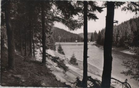 Altenau - Hüttenteich Altenau - Hüttenteich