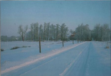 Spuren im Schnee Spuren im Schnee