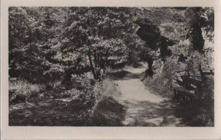 Waldweg mit Ruhebank Waldweg mit Ruhebank