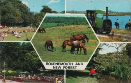 Bournemouth - Großbritannien - and New Forest Bournemouth - Großbritannien - and New Forest