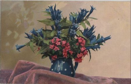 Blumen Grüße Blumen Grüße