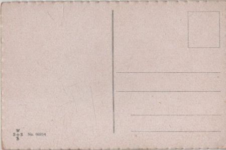 Lustiges Kleeblatt Fotograf