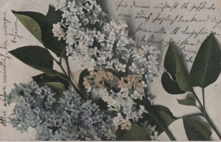 Blüten und Blätter Blüten und Blätter