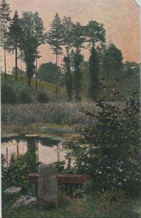 Kleiner Teich im Wald Kleiner Teich im Wald