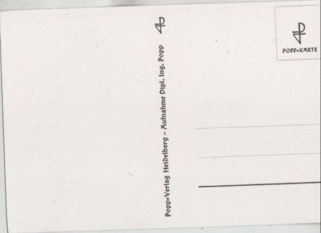 große Blüte schwarzweiß