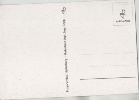 gezackte Blüten schwarzweiß