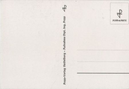 zwei Blumenblüten schwarzweiß