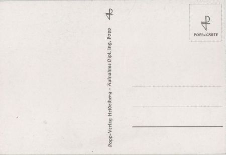 Blüten schwarzweiß