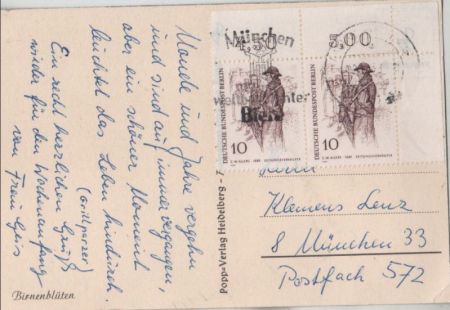 Birnenblüten schwarzweiß