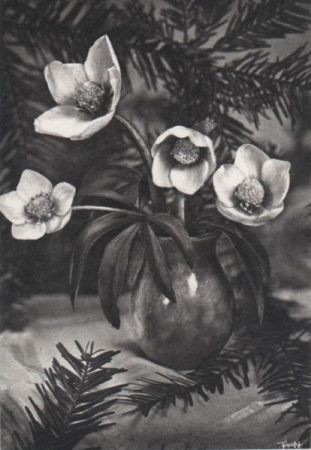vier Blumen in Vase vier Blumen in Vase