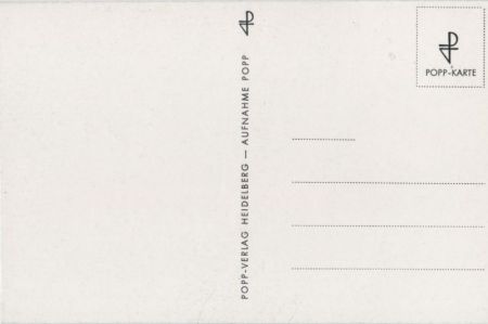 weiße Blüten in schwarzweiß