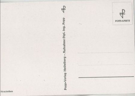 kleinblättrige Pflanze in einem Topf