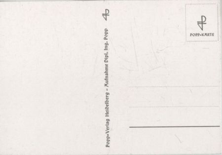 blühende Blumen auf Wiese