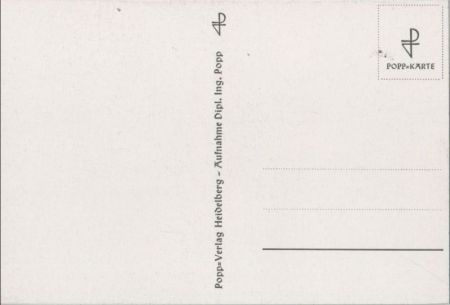 weiße Blüte schwarzweiß