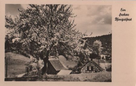 Frohes Pfingstfest blühender Baum Frohes Pfingstfest blühender Baum