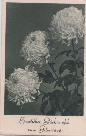 zum Geburtstag drei Blumen zum Geburtstag drei Blumen