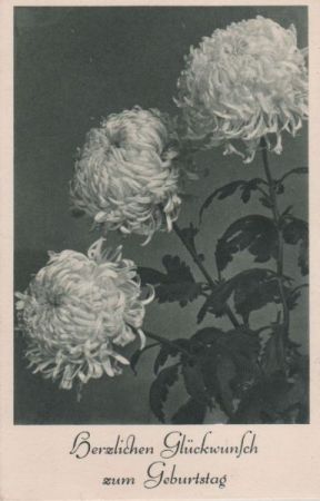 Zum Geburtstag Blumenbild Zum Geburtstag Blumenbild
