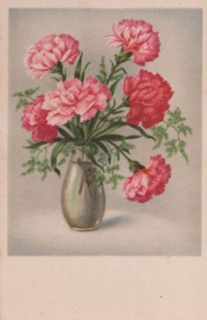 Blumen rot und rosa Blumen rot und rosa