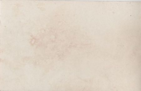 Seltsames Tier mit buschigem Schwanz