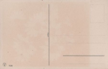 Blumen weiß und blau