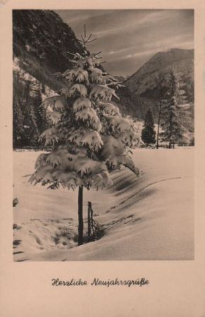 Herzliche Neujahrsgrüße Schneelandschaft Herzliche Neujahrsgrüße Schneelandschaft