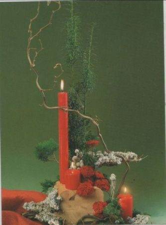 Ei9be und Korkenzieherhasel Arrangement Ei9be und Korkenzieherhasel Arrangement