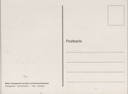 Ei9be und Korkenzieherhasel Arrangement Ei9be und Korkenzieherhasel Arrangement
