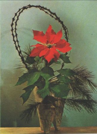 Ikebana Durch Schmerz und Licht Ikebana Durch Schmerz und Licht