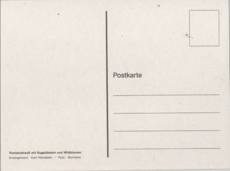Trockenstrauch mit Kugeldisteln