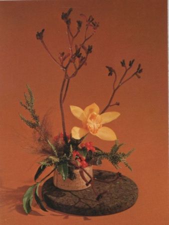 Cymbidienblüte Arrangement Cymbidienblüte Arrangement