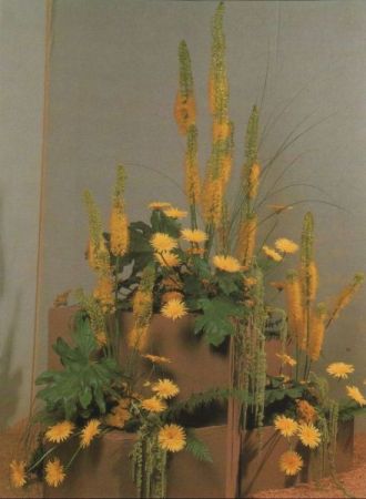 Harmonie der Farben Arrangement Harmonie der Farben Arrangement