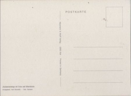 Ilexbeerenzweige mit Erica Arrangement