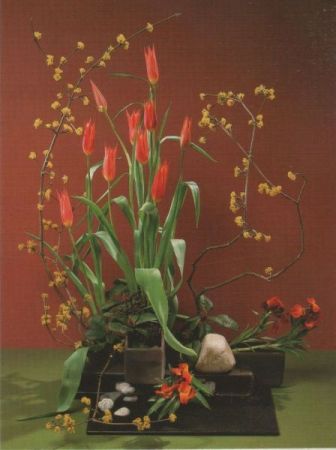 Cornus mit Aladin-Tulpen Arrangement Cornus mit Aladin-Tulpen Arrangement