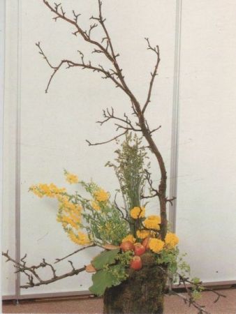 Natur als Vorbild Arrangement Natur als Vorbild Arrangement