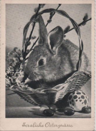 Herzliche Ostergrüße Hase Herzliche Ostergrüße Hase