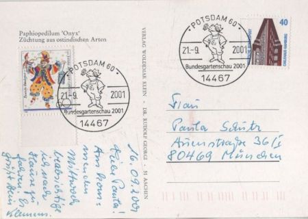 Paphiopedilum Onyx Ostindien