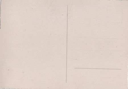 Blühende Blumen hohe Vase