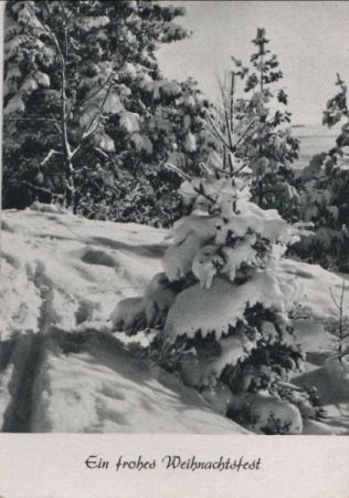 Frohes Weihnachtsfest Bäume mit Schnee Frohes Weihnachtsfest Bäume mit Schnee