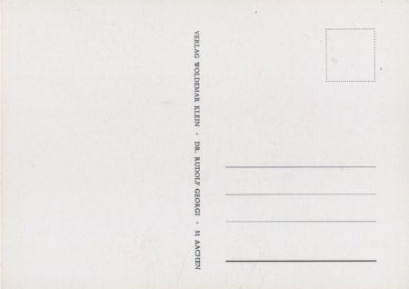 Rosa Indica Caryophyllea blühend