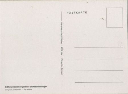 Dichternarzissen Arrangement Dichternarzissen Arrangement
