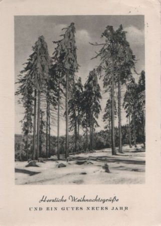 Herzliche Weihnachtsgrüße Wintewald Herzliche Weihnachtsgrüße Wintewald