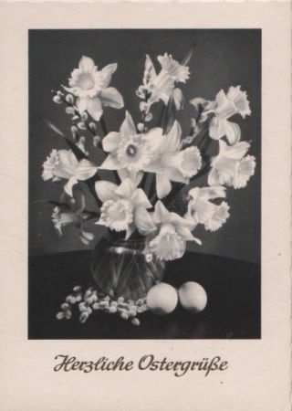 Herzliche Ostergrüße Blumen und Eier Herzliche Ostergrüße Blumen und Eier